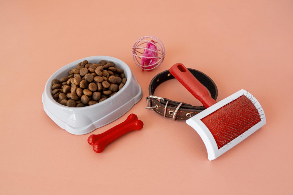 pet-accessories-still-life-with-food-bowl-fur-brush